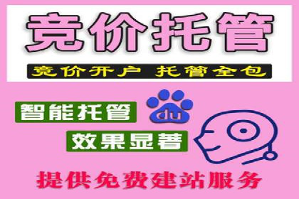 某行业巨头托管竞价sem的胜利之路